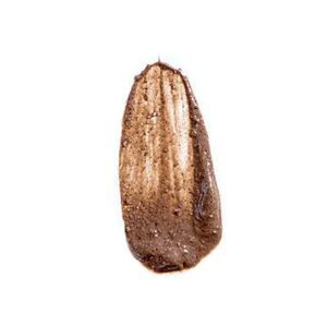 Shop Leahlani Kokoleka Purifying Mask at Inspire Beauty, free shipping on all orders over $99 (Canada & USA)