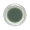 Living Libations BeDew Dab Ozonated Beauty Balm, a soothing ozonated balm for redness and dryness.