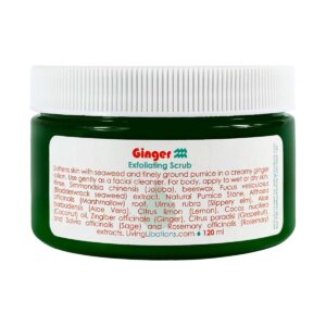 Shop Living Libations Ginger Exfoliating Scrub at Inspire Beauty.