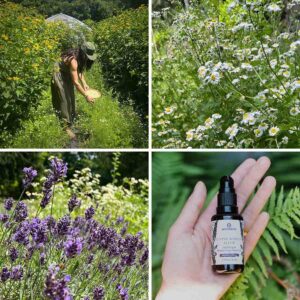 Annmarie Divine Woman Elixir, a limited-edition facial oil crafted with homegrown ingredients to reveal a softer, firmer, and more radiant complexion.