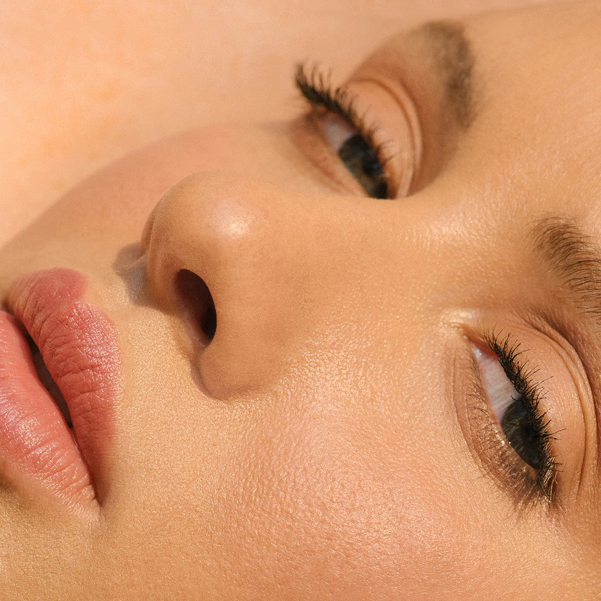 Manasi 7 All Over Colour in shade Bisque