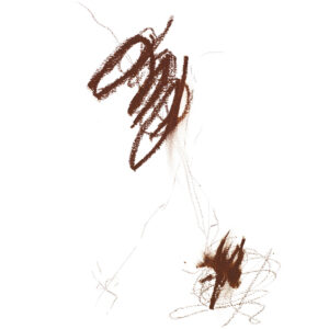 19/99 Precision Colour Pencil Barna is a deep brown hue that can be used on the lips, eyes, and cheeks.