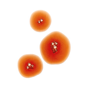 Agent Nateur Calm (Beauty) Spermidine And Taurine Supplement has a delicious tart cherry taste.