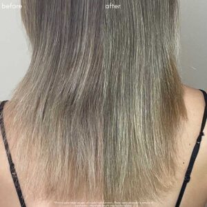 Strengthen and repair with Maya Chia The Mane Agent.