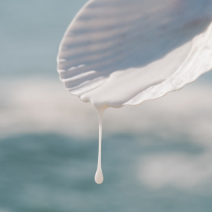 MARA Pearl Peptide Glaze Facial Essence