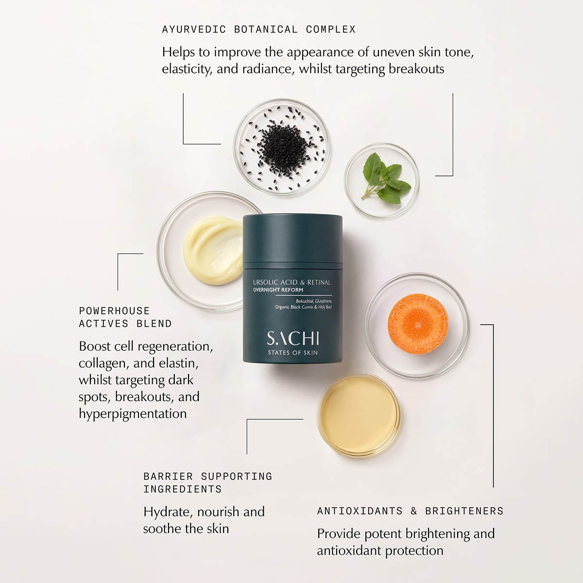 Sachi Skin Ursolic Acid & Retinal Overnight Reform