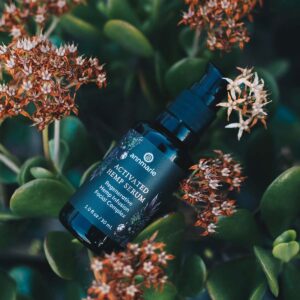 Shop Annmarie Gianni Activated Hemp Serum at Inspire Beauty.