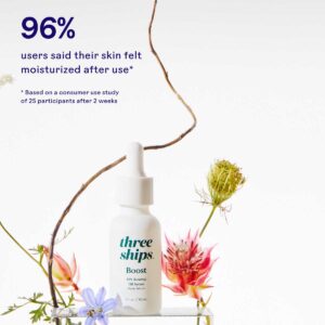 Three Ships Boost 49% Rosehip Oil Serum is a nourishing serum that reduces the appearance of wrinkles and hyperpigmentation.