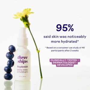 Three Ships Replenish Barrier Repair Serum is a nourishing serum to strengthen your skin barrier.