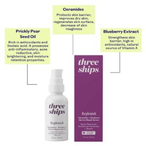 Three Ships Replenish Barrier Repair Serum is a deeply nourishing serum with Ceramides and upcycled Blueberry Seed Oil helps support a compromised barrier, so sensitive skin looks healthier, bouncier and glowier.