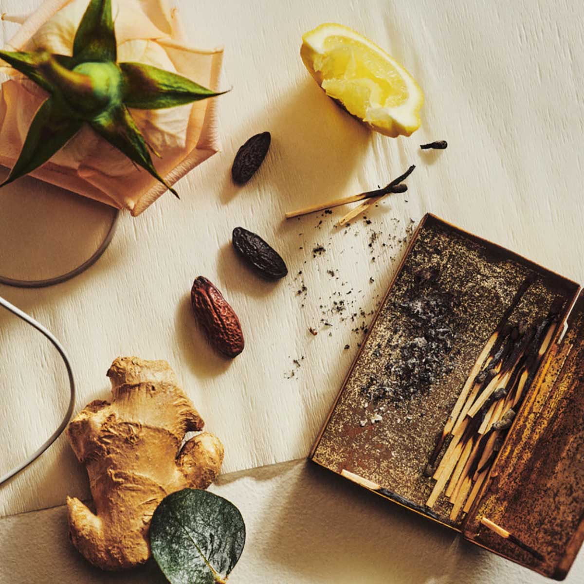 SIDIA The Body Serum Wired scent notes.