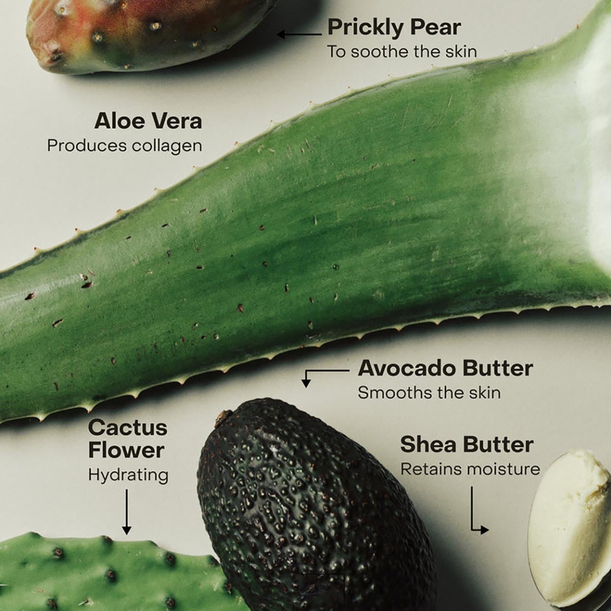 SIDIA Signature Complex ingredients.