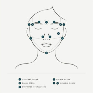 Sachi Skin Marma Facial Comb Guide.