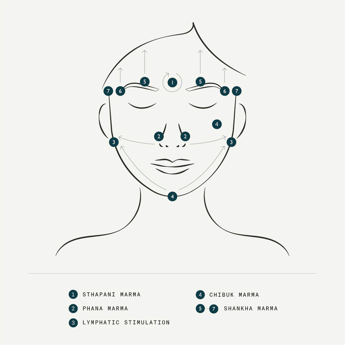 Sachi Skin Marma Facial Comb Guide.