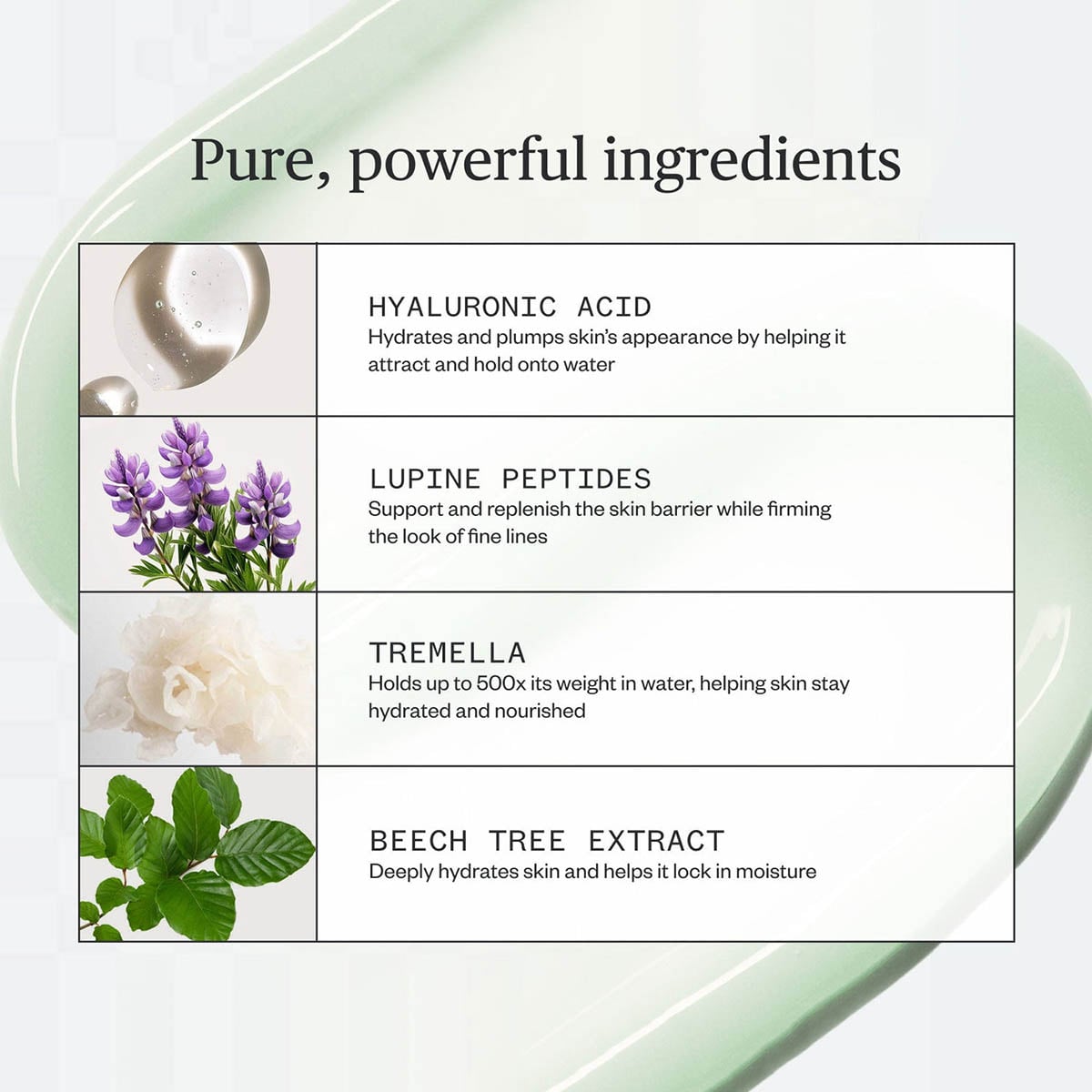 Ursa Major Forest Water Hyaluronic Serum ingredients.