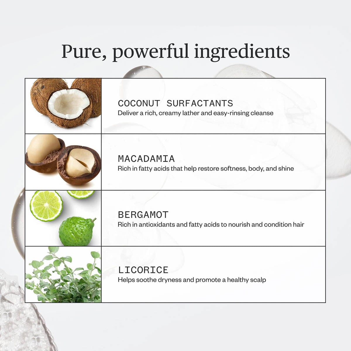 Ursa Major Go Easy Shampoo ingredients.