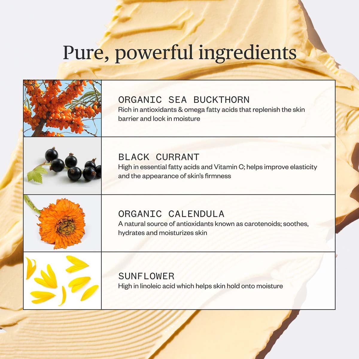 Ursa Major Golden Hour Recovery Cream ingredients.