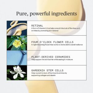 Ursa Major Lunar Bloom Retinal Serum ingredients.