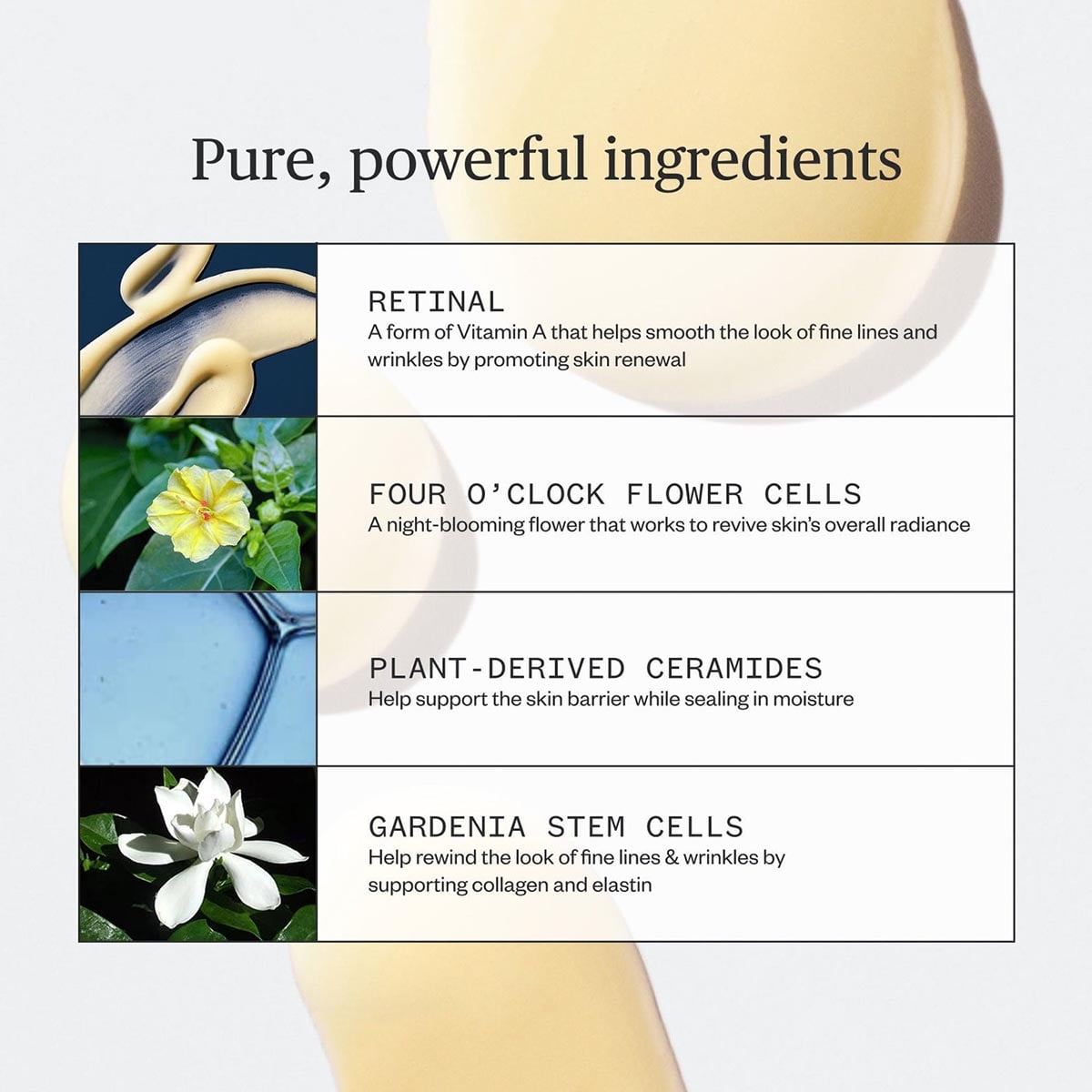 Ursa Major Lunar Bloom Retinal Serum ingredients.